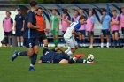 MSoc vs RWU  Men’s Soccer vs Roger Williams University. - Photo by Keith Nordstrom : Wheaton, MSoccer, MSoc, Men’s Soccer